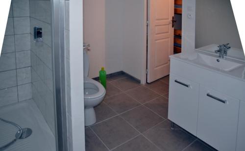 アイヨン・ル・ジュンヌにあるAux 2 Savoie Bのバスルーム(トイレ、洗面台、シャワー付)