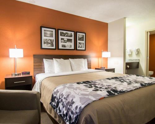 a large bed in a hotel room with two lamps at Sleep Inn Ormond Beach - Daytona in Ormond Beach
