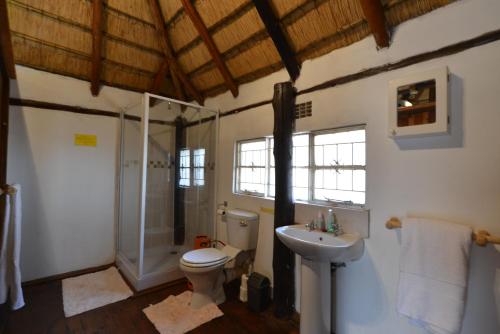 a bathroom with a toilet and a shower and a sink at Karibu River Retreat in Marble Hall