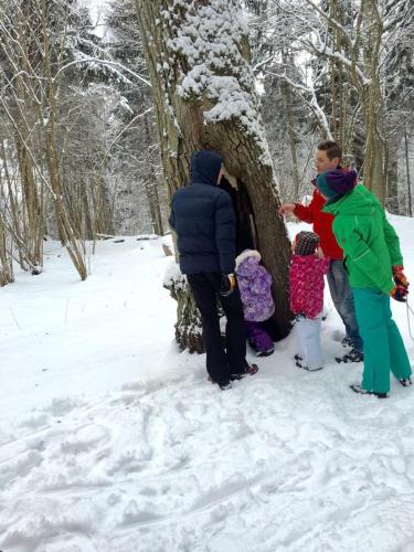 a group of people standing around a tree in the snow at Prūsiškių dvaras in Sumiliszki