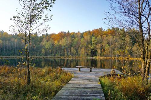 a wooden path leading to a lake with a bench at Prūsiškių dvaras in Sumiliszki