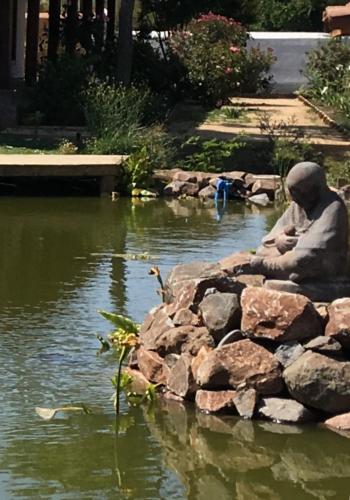 a statue of a woman sitting on the edge of a pond at Hotel Boutique BC Wine Casablanca in Casablanca