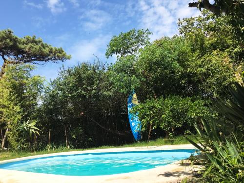 uma piscina azul com árvores ao fundo em Negrita Hostel em Punta del Este