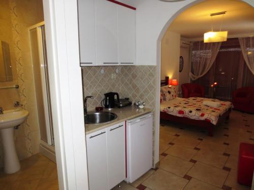オフリドにあるApartments Jovan city center with free parkingのシンク付きのキッチンとベッド付きの部屋