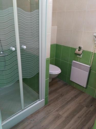 a bathroom with a shower and a toilet at Hôtel du Lac in Treignac