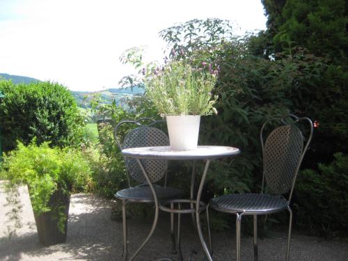 a table and two chairs with a potted plant on it at Pension Kreuzinger, 5310 Tiefgraben in Mondsee