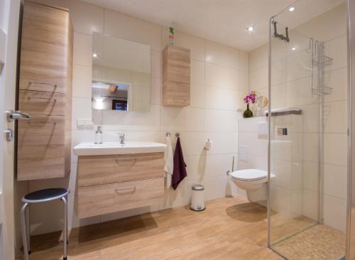 ein Bad mit einem WC, einem Waschbecken und einer Dusche in der Unterkunft Ferienwohnung zur Erlebnisschmiede in Kammerforst