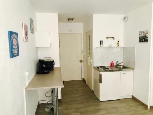eine kleine weiße Küche mit einer Spüle und einer Theke in der Unterkunft Spacieux studio au centre in Straßburg