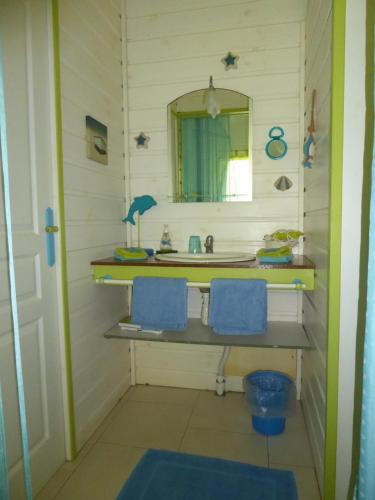 a bathroom with a sink and a mirror at Coco Bungalows in Sainte-Rose
