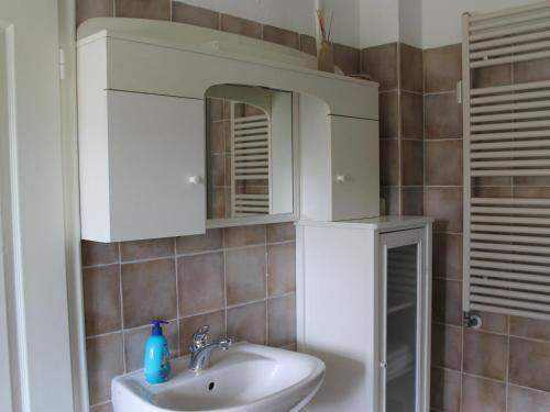 a bathroom with a sink and a mirror at Quaint Apartment in Reddelich in Reddelich