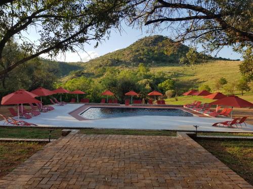 a swimming pool with red umbrellas and a mountain at 26° South Bush Boho Hotel in Muldersdrift