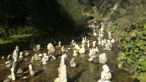 a group of rocks in a stream of water at Hotel Serenella in Canale San Bovo