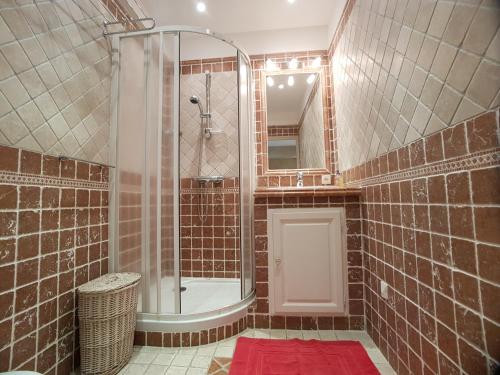 a bathroom with a shower and a red rug at La Villa Saint Jean BAS DE VILLA in La Ciotat
