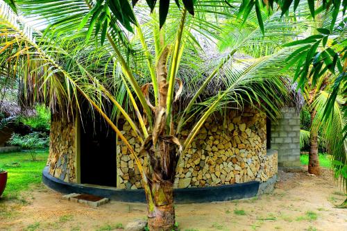 a palm tree in front of a building at Turtle Watch Cabana in Tangalle
