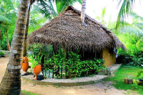 a hut with a straw roof next to a palm tree at Turtle Watch Cabana in Tangalle