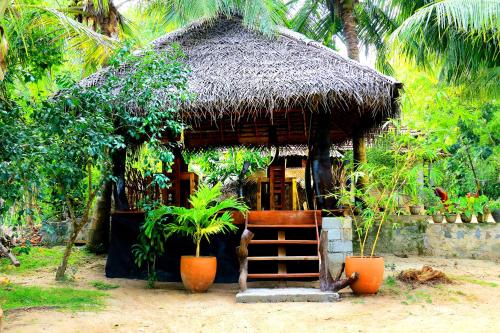 una pequeña cabaña con techo de paja y algunas plantas en Turtle Watch Cabana, en Tangalle