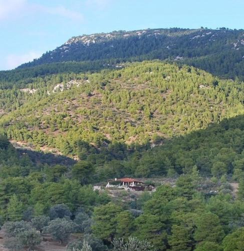 Φυσικό τοπίο κοντά σε αυτή η εξοχική κατοικία
