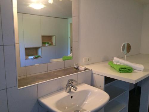 克勒施特勒Familienbauernhof Winkelhof的浴室里有洗手池和镜子