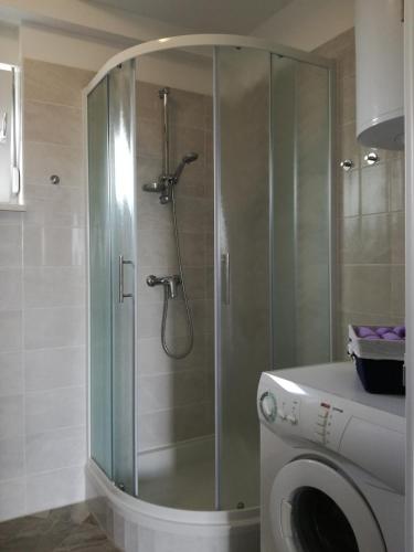 a shower in a bathroom with a washing machine at Apartments Lipić in Posedarje