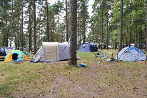 a group of tents in a field with trees at Karlstad Swecamp Bomstadbaden in Karlstad