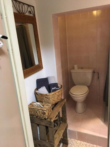 une salle de bain avec toilettes et miroir dans l'établissement Le Bratzala, à Colmar