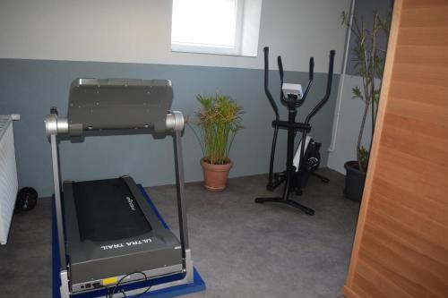 Fitness centrum a/nebo fitness zařízení v ubytování Le Gîte de Maya