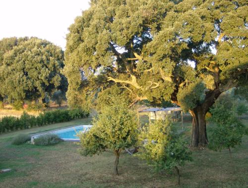 Podere Le Querce – Photos 5