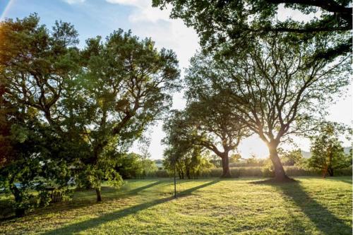 Podere Le Querce – Photos 4