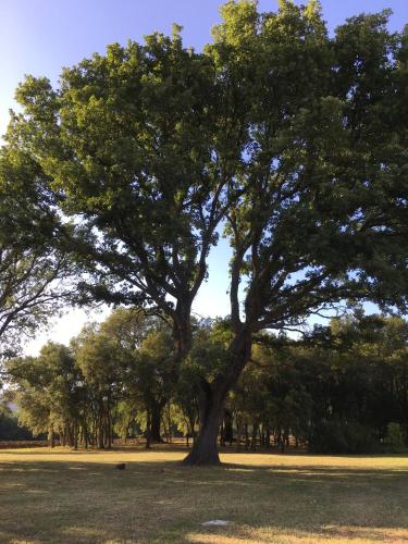 Podere Le Querce – Fotografie 2