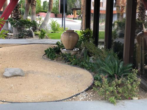 a vase sitting in the middle of a garden at Desert Lodge in Palm Springs