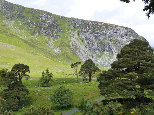 a green hill with trees in front of a mountain at Lus Mor in Roundwood