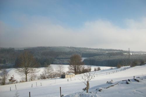 a snow covered field with trees and a fence at FILD - Holiday Apartment in Saint-Vith