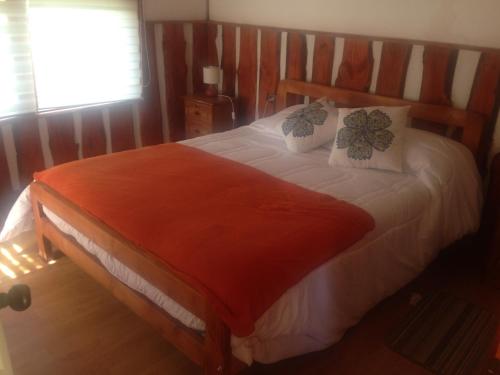 Postel nebo postele na pokoji v ubytování Lodge Palguin Alto