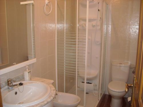 a bathroom with a shower and a sink and a toilet at Casa Rural La Dama del Alba in Vega de Magaz