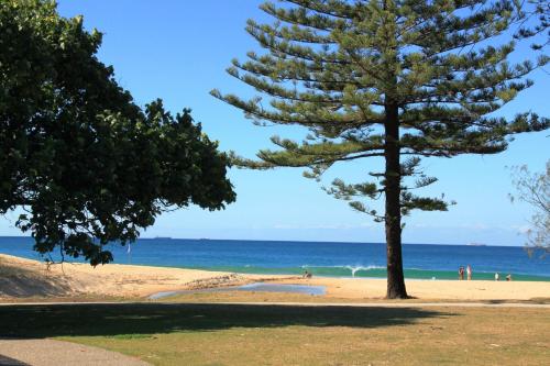 a pine tree on a beach with the ocean at Portobello By The Sea in Caloundra