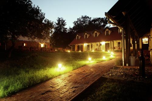 a garden with lights in the grass at night at Kosbor Panzió in Magyarszombatfa