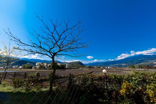a tree in a field with a fence at Alice Springs Homestay in Tianfu