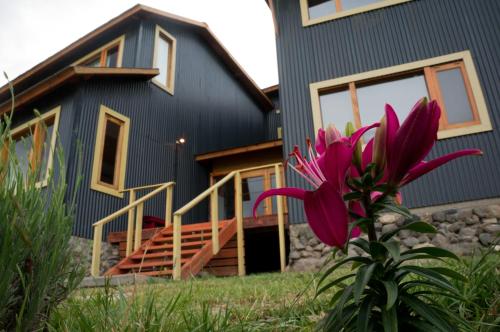 a purple flower in front of a house at Hostería La Soberana in El Calafate