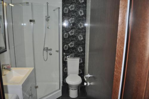 a bathroom with a shower and a toilet and a sink at Apartments Soleado in Pančevo
