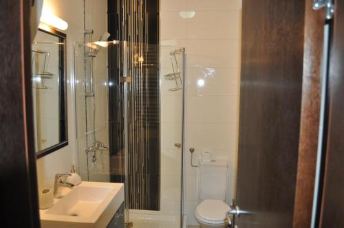 a bathroom with a shower and a toilet and a sink at Apartments Soleado in Pančevo