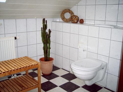 a bathroom with a toilet and a cactus at Ferienwohnung Patricia Schipper in Gemünden