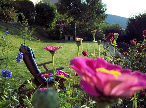 una silla sentada en medio de un campo de flores en Ferienwohnung Patricia Schipper, en Gemünden