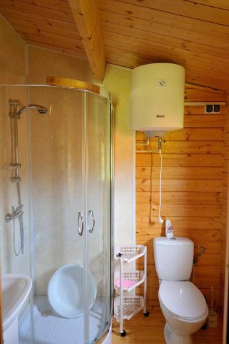 a bathroom with a shower and a toilet and a sink at Domki Rybka in Sarbinowo