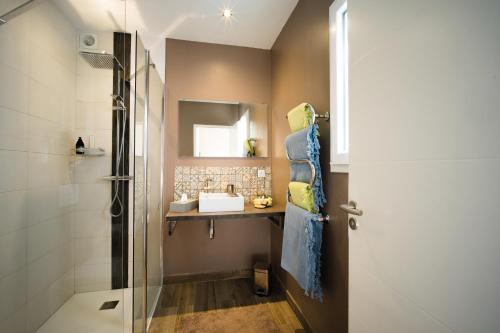 ein Bad mit einer Dusche und einem Waschbecken in der Unterkunft Maison d'hôtes Thym et Chocolat in Générargues