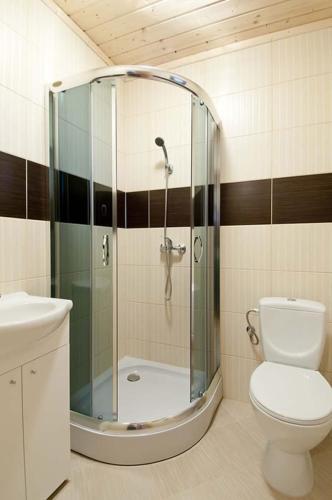 a bathroom with a shower and a toilet at Delfinek in Darłowo