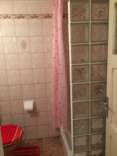 a shower with a pink shower curtain in a bathroom at Pension Casa Alba in Slănic-Moldova