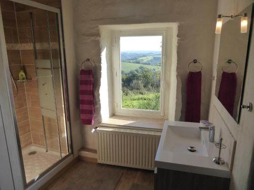 een badkamer met een douche, een wastafel en een raam bij La Basserie in Laguépie