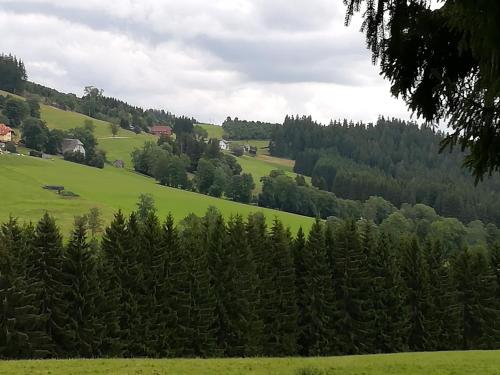 Naturlandschaft in der Nähe des Hotels