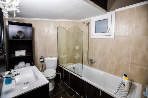 a bathroom with a sink and a toilet and a bath tub at DELUXE APARTMENTS - free parking in Drama