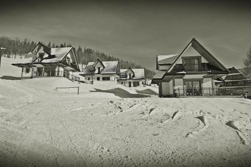 a black and white photo of a group of houses in the snow at Osada domków Baca in Poronin